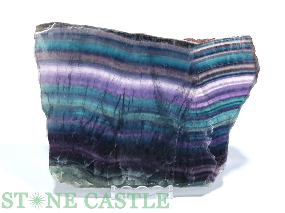 ������ʪ���ڸ��Сۥե����饤�� ξ���᤭ �ץ졼�� (����) No.25