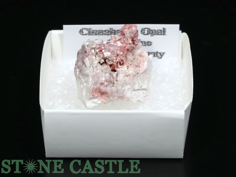 ʪڸСۥʥС󥪥ѡ (ꥫ) No.01