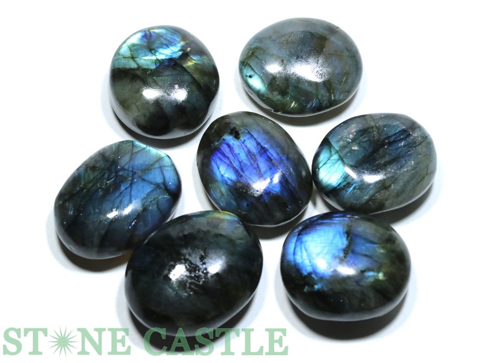 ʪ֤С۰ ֥ɥ饤 (7ĥå) No.41