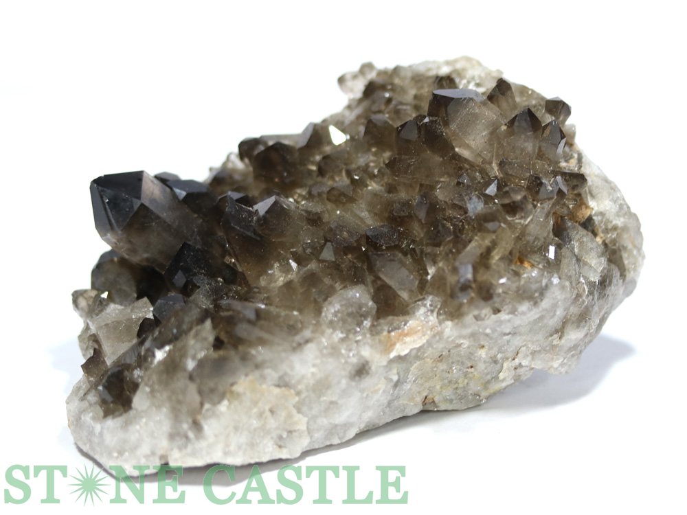 ������ʪ���ڸ��С�ŷ�����⡼�����������ĥ��饹���� (ST) (�ȥޥ����󥶥���) No.27