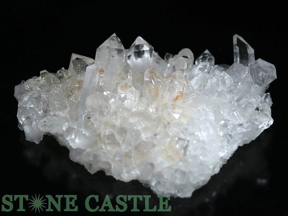 ������ʪ���ڸ��Сۥ������󥽡����徽���饹���� (EX+) (��) No.89