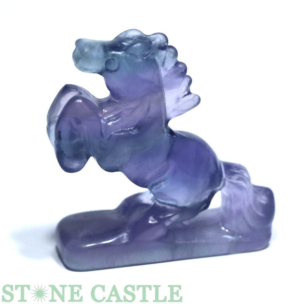 �����ʼ�����Ħ����ʪ���� �ե����饤��