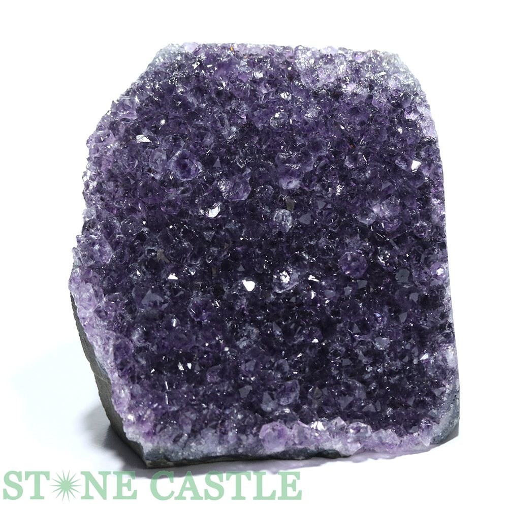 ������ʪ���ڸ��Сۥ��᥸����(���륰������) (EX) �֤������� No.151