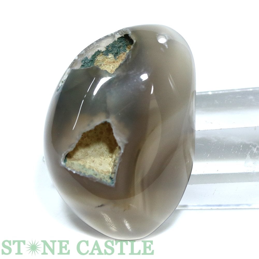 ������ʪ���ڥڥ����ȡۥɥ��롼�������� No.01