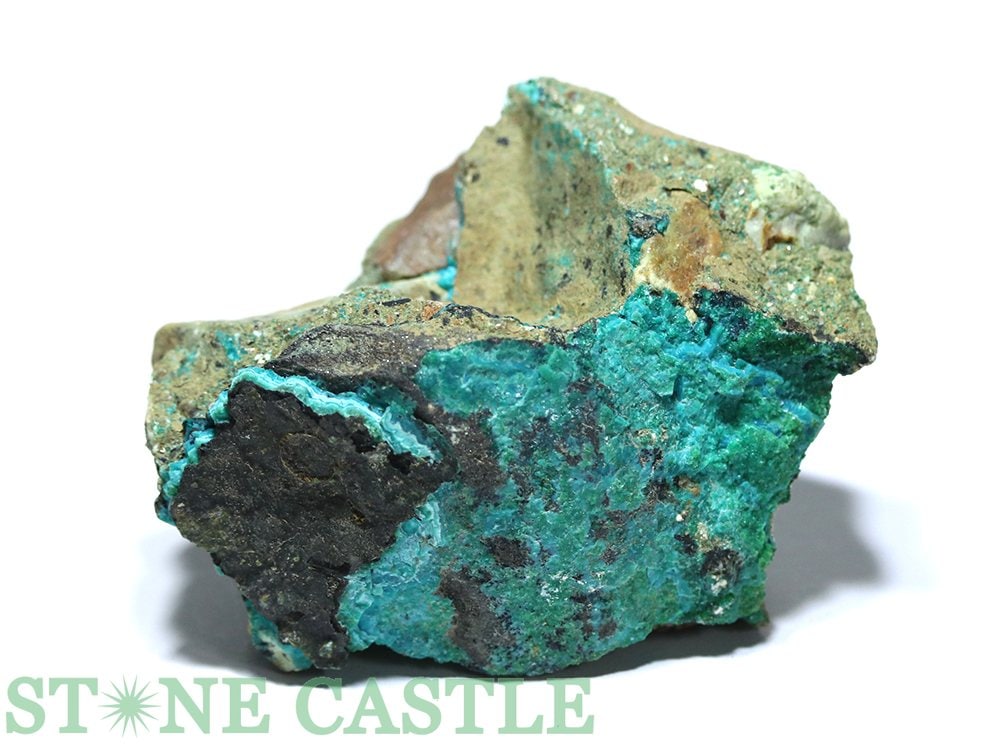 ������ʪ���ڸ��Сۥ��꥽���� No.62