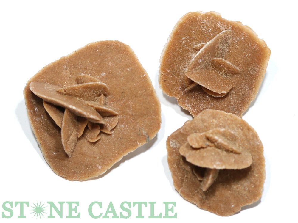 ������ʪ���ڸ��Сۺ����ΥХ� (����å���) (EX) (3�ĥ��å�) No.10