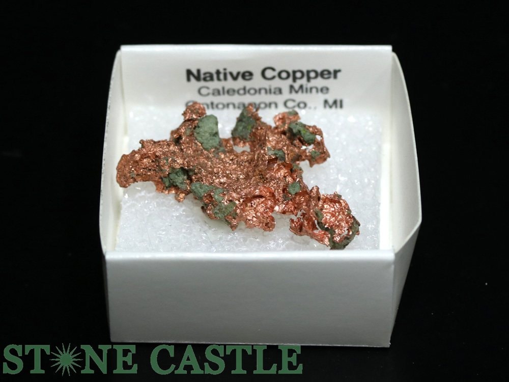 ������ʪ���ڸ��Сۼ���Ƽ (����ꥫ���ߥ����󽣻�) No.41