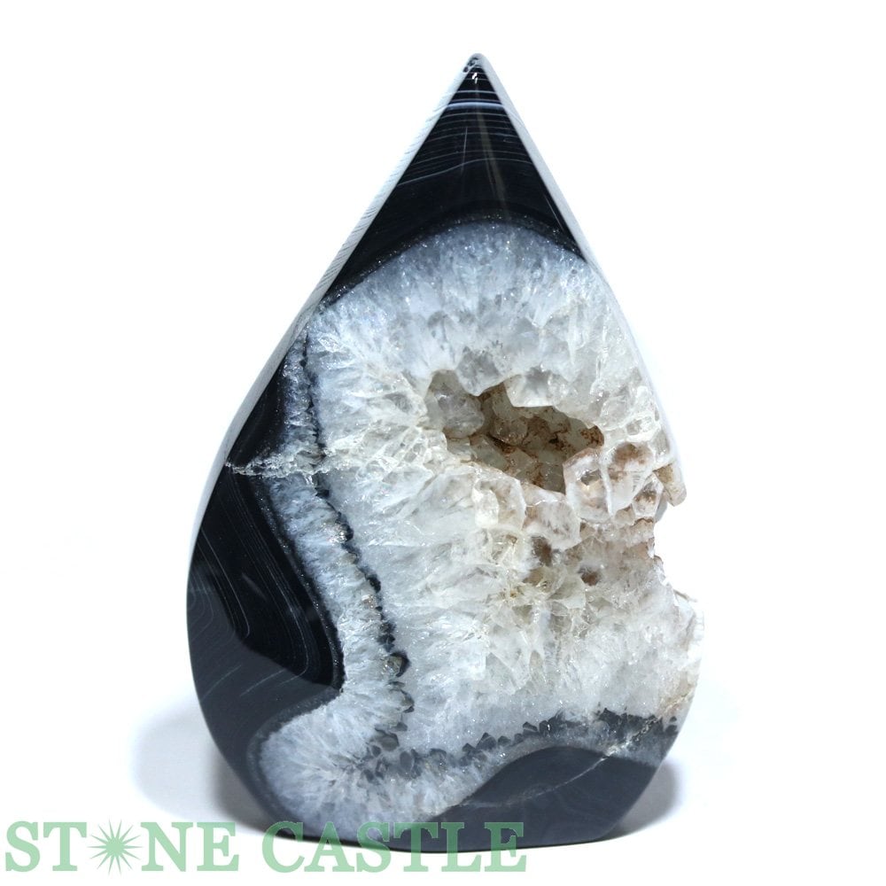 ������ʪ�����֤��Сۥɥ��åץݥ���ȷ� �֥�å������ɥ��˥��� No.73