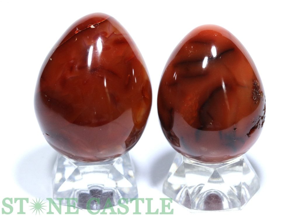 ������ʪ�����֤��Сۤ��ޤ��� ���٥åȥ����ͥꥢ�� (2�ĥ��å�) No.64