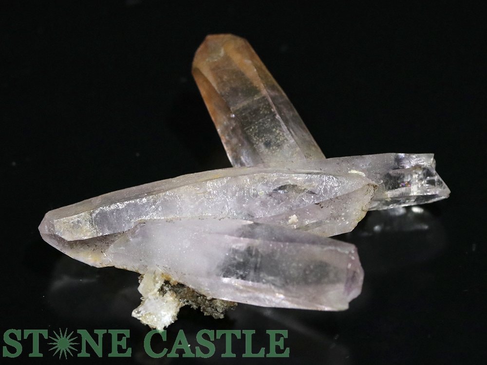 ������ʪ���ڸ��Сۥ٥饯�륹���᥸���� ���饹���� (�ᥭ������) (��) No.01