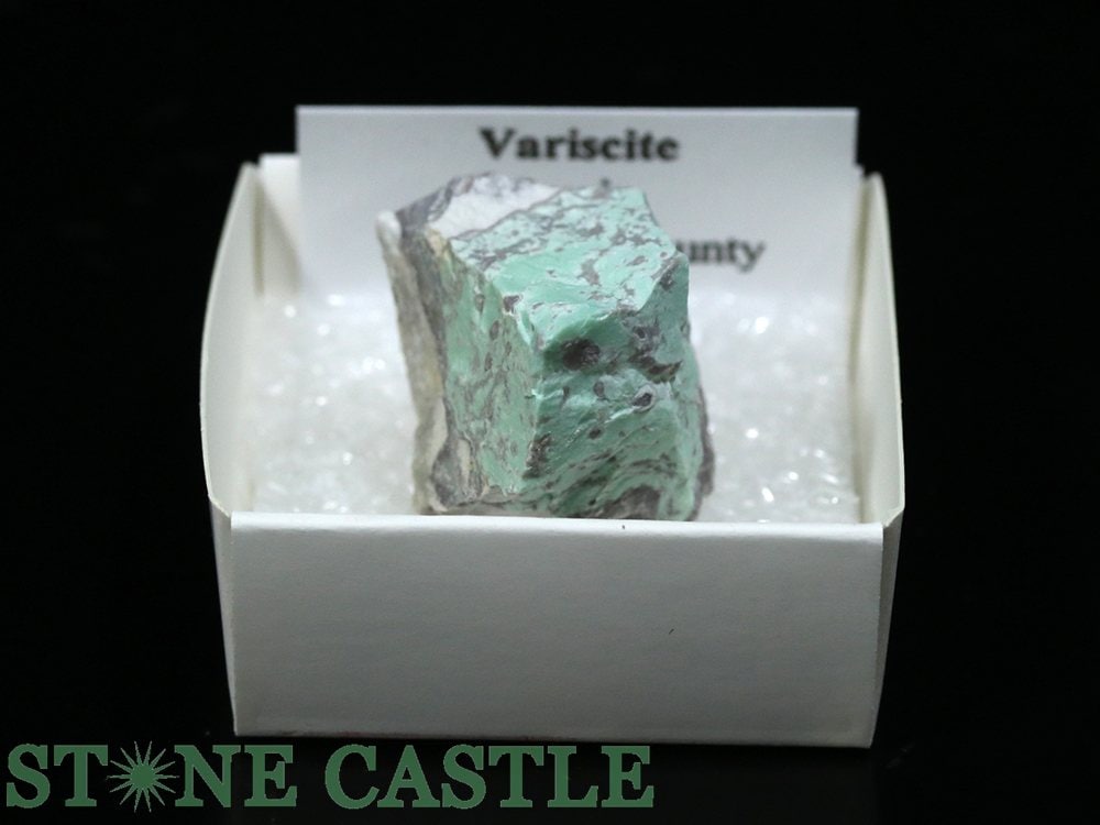 ������ʪ���ڸ��СۥХꥵ���� (�楿����) No.42