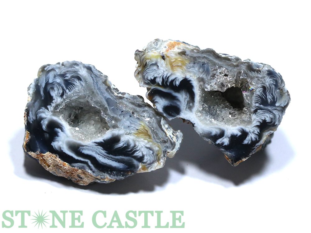 ������ʪ���ڸ��Сۥȥ쥸�㡼��Υ� (�ڥ�) (S) No.32