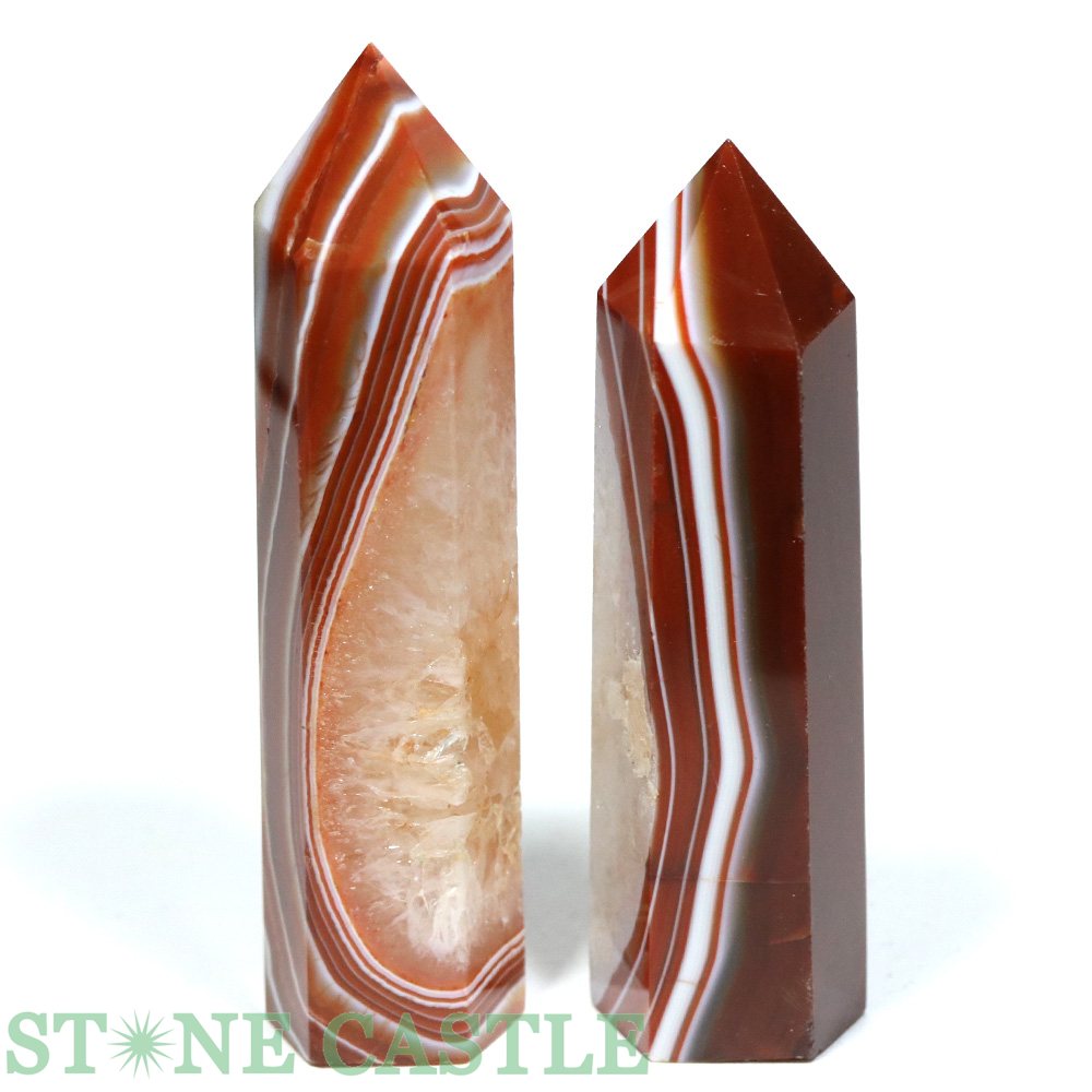 ������ʪ�����֤��Сۥݥ���ȷ� �����ɥ��˥��� (2�ܥ��å�) No.67