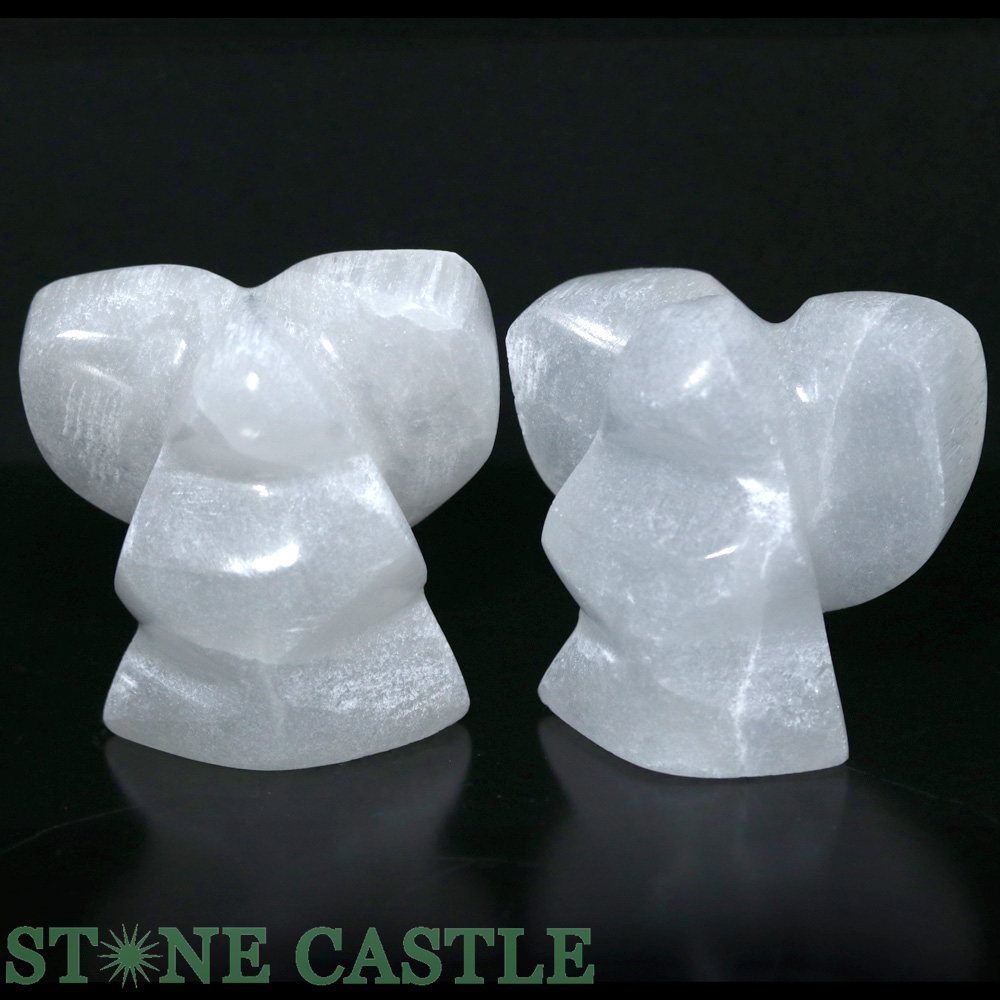 ��Ħ����ʪ�ۥ���ʥ��� �ϡ��ȥ��󥸥��� �Ƽ�