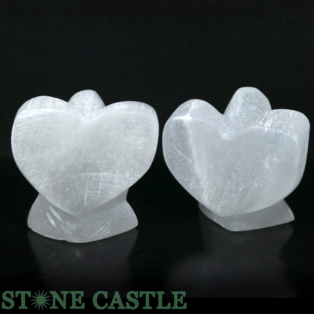 ��Ħ����ʪ�ۥ���ʥ��� �ϡ��ȥ��󥸥��� �Ƽ�