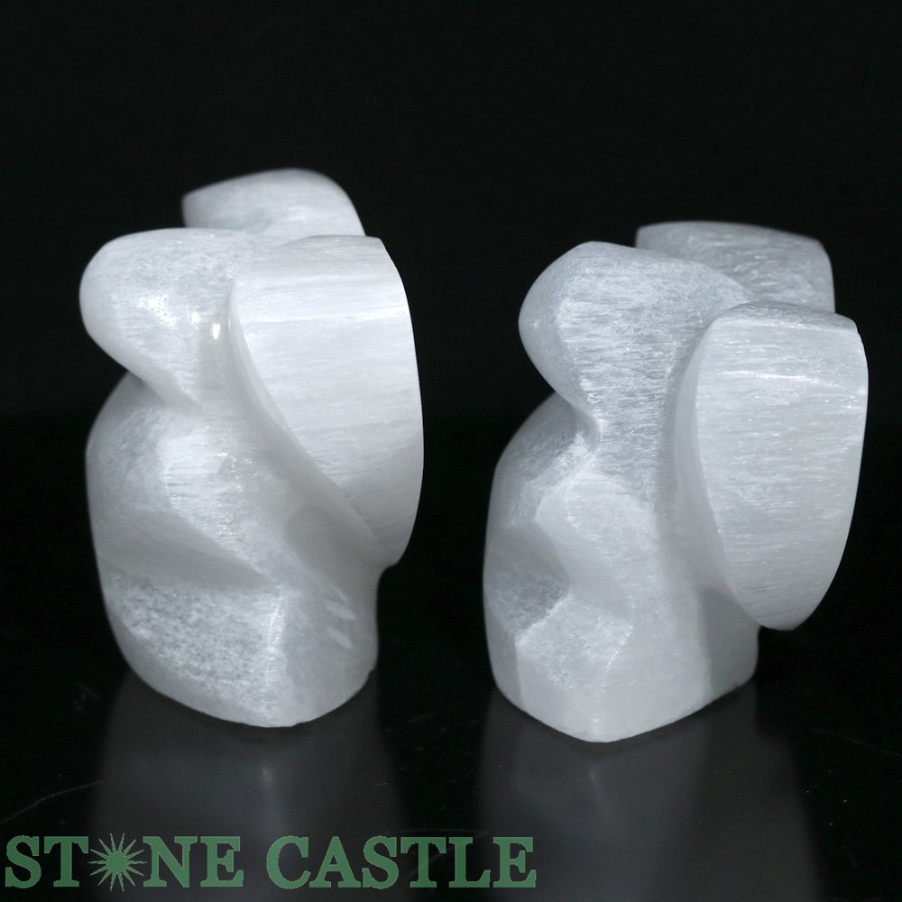 ��Ħ����ʪ�ۥ���ʥ��� �ϡ��ȥ��󥸥��� �Ƽ�