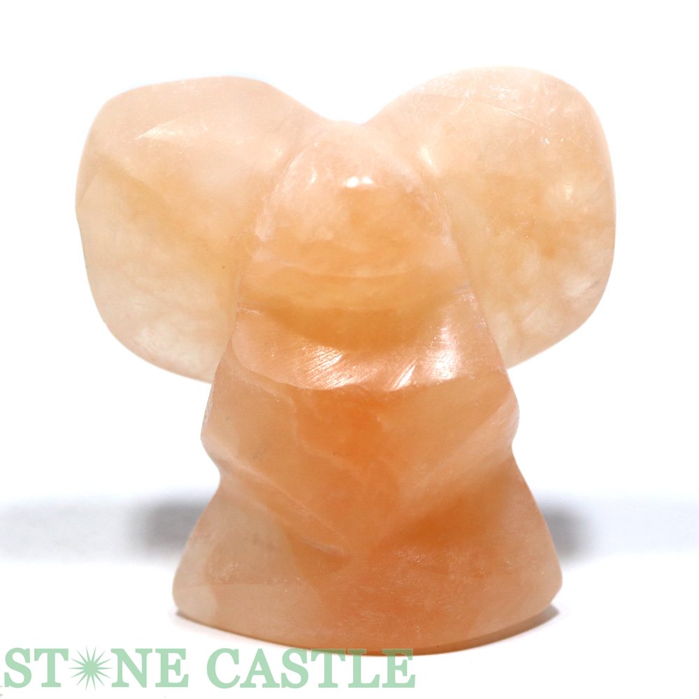 ��Ħ����ʪ�ۥ���ʥ��� �ϡ��ȥ��󥸥��� �Ƽ�