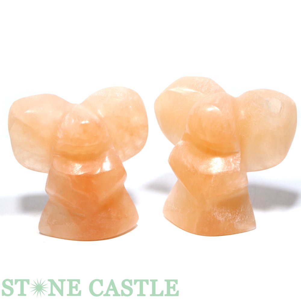 ��Ħ����ʪ�ۥ���ʥ��� �ϡ��ȥ��󥸥��� �Ƽ�