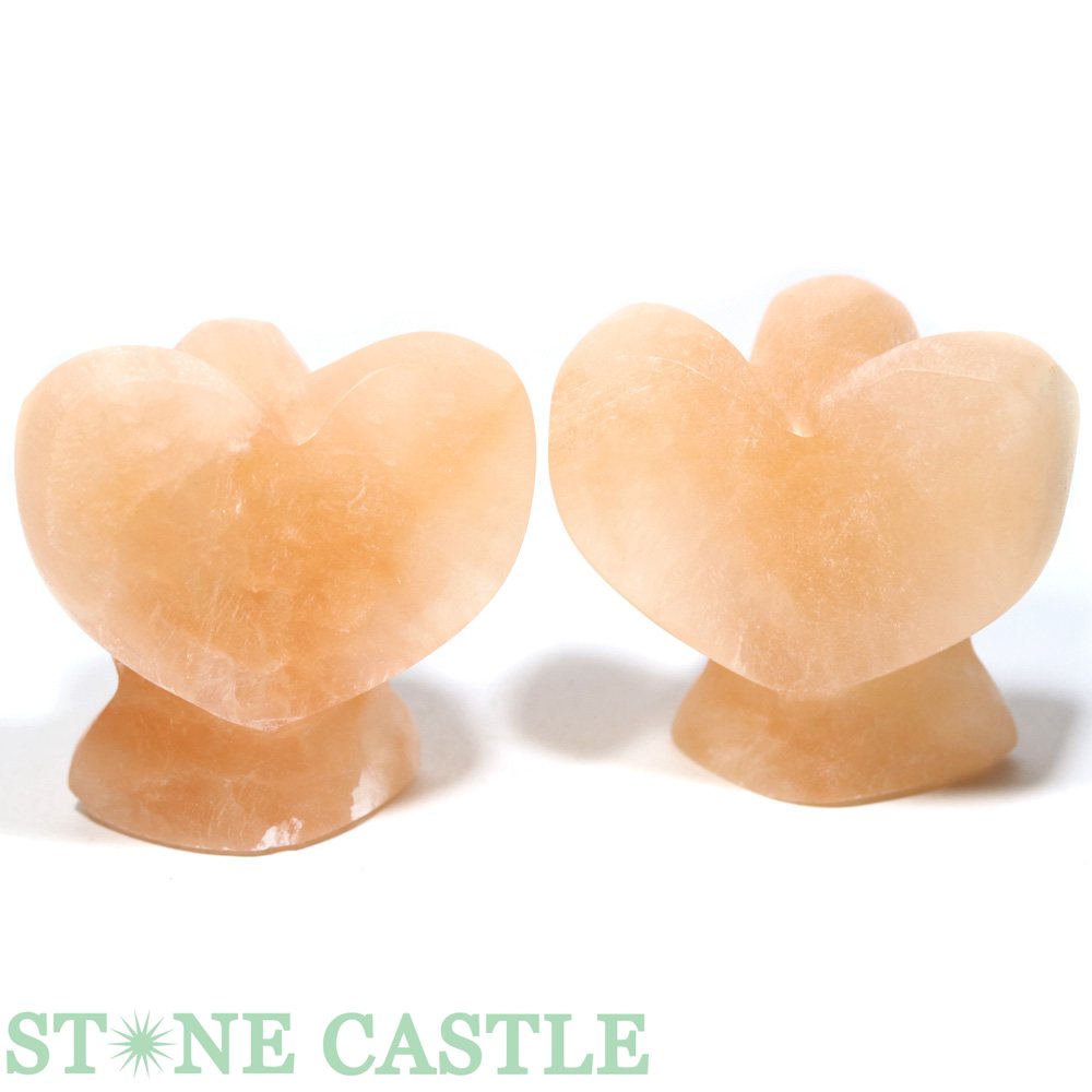 ��Ħ����ʪ�ۥ���ʥ��� �ϡ��ȥ��󥸥��� �Ƽ�