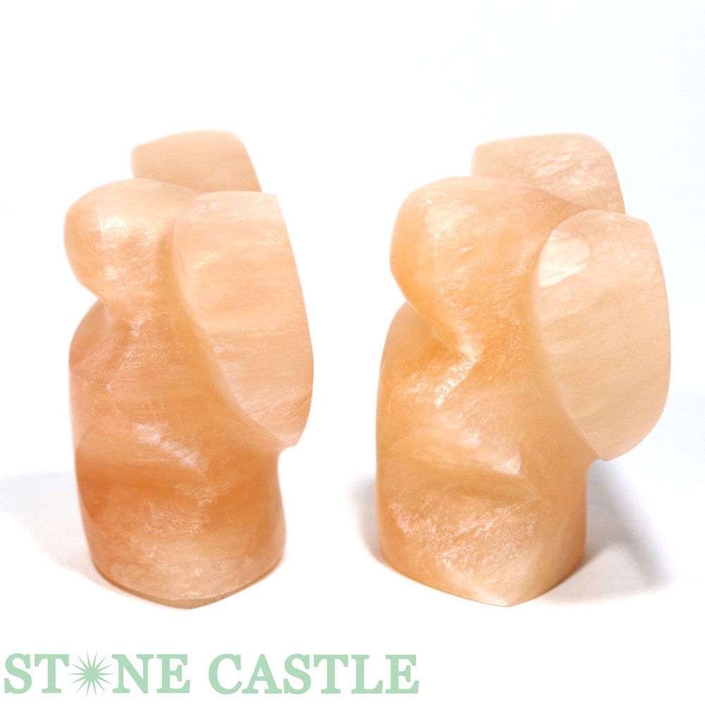 ��Ħ����ʪ�ۥ���ʥ��� �ϡ��ȥ��󥸥��� �Ƽ�