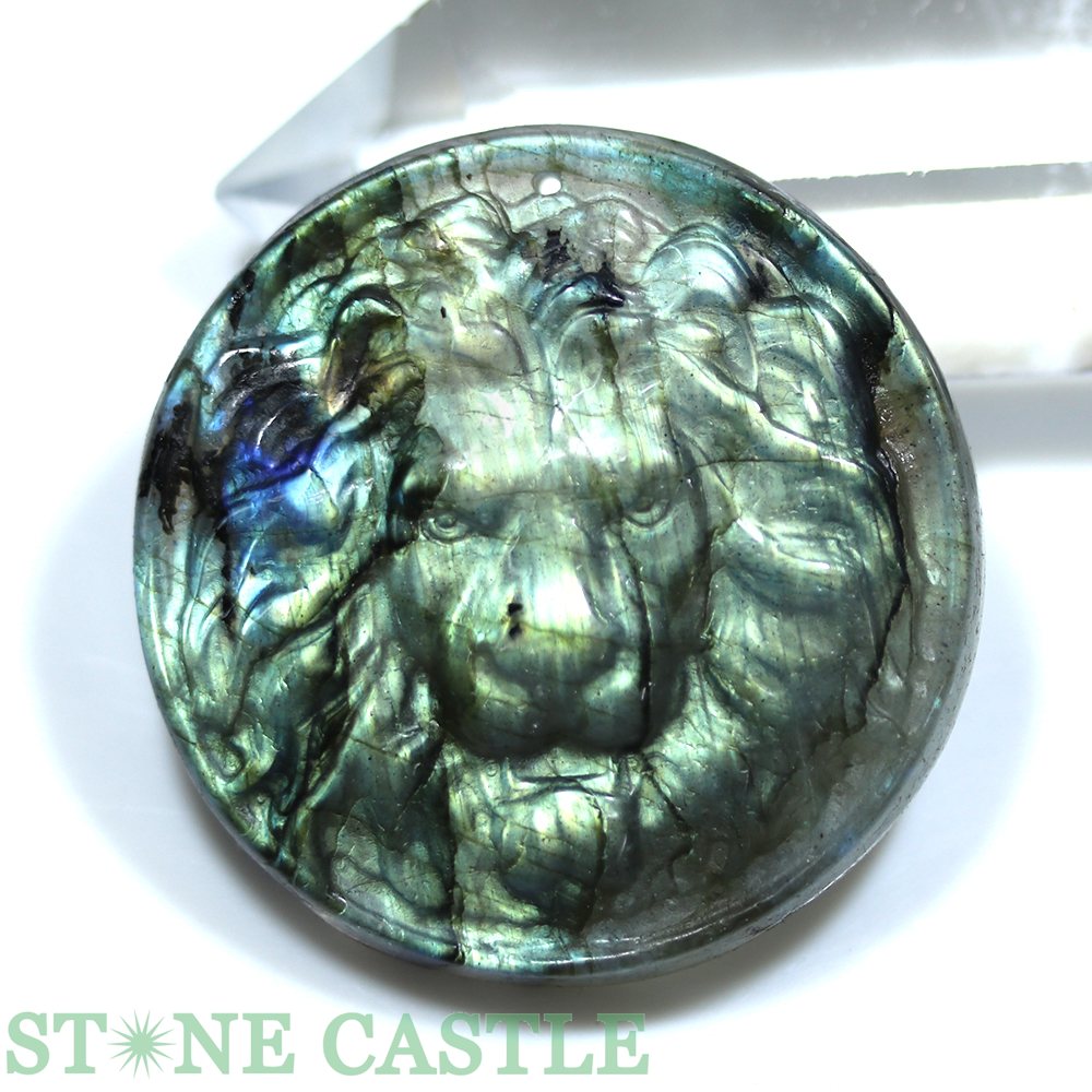 ������ʪ���ڥڥ����ȡۥ饤���� ��֥�ɥ饤�� No.30