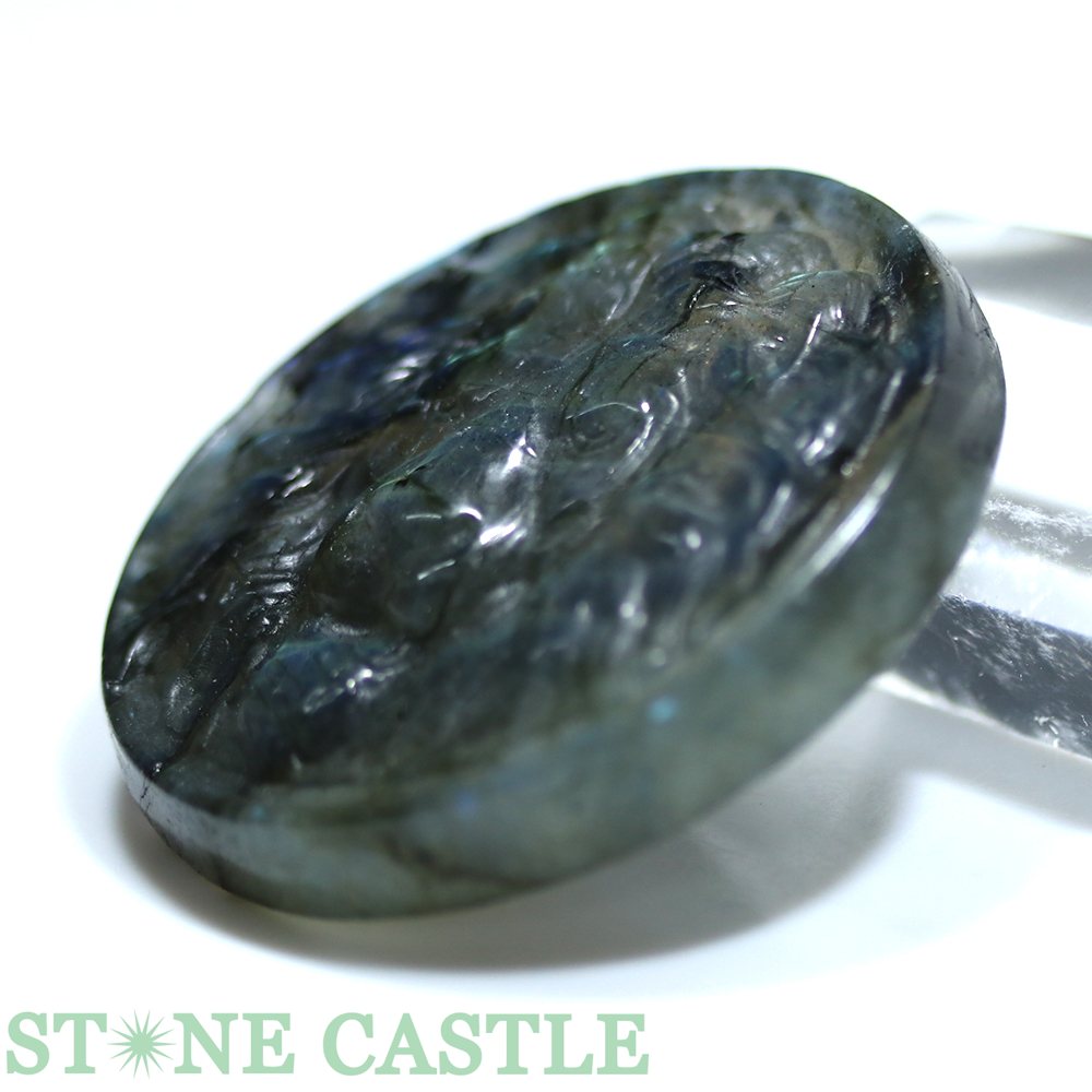 ������ʪ���ڥڥ����ȡۥ饤���� ��֥�ɥ饤�� No.30