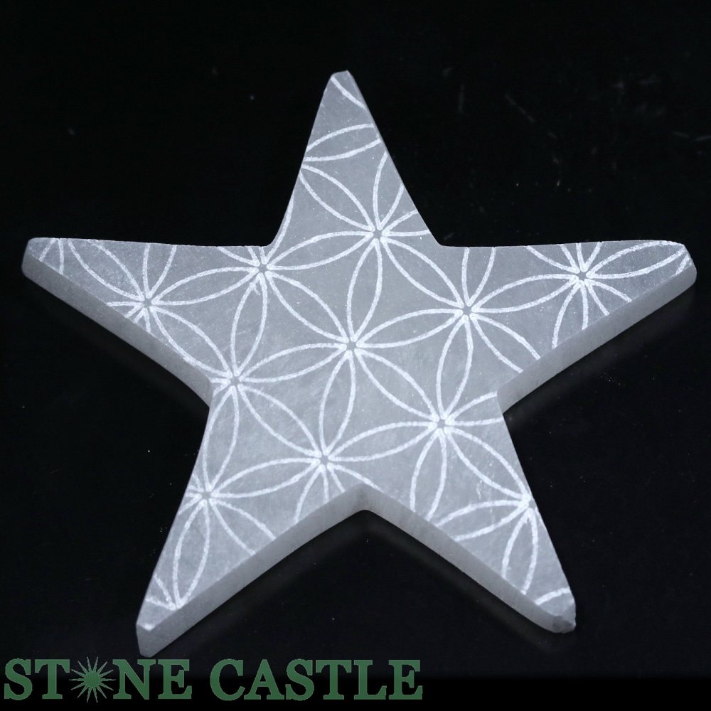 ʼ֤Сۥʥ ʥץ졼  (ե֥饤)