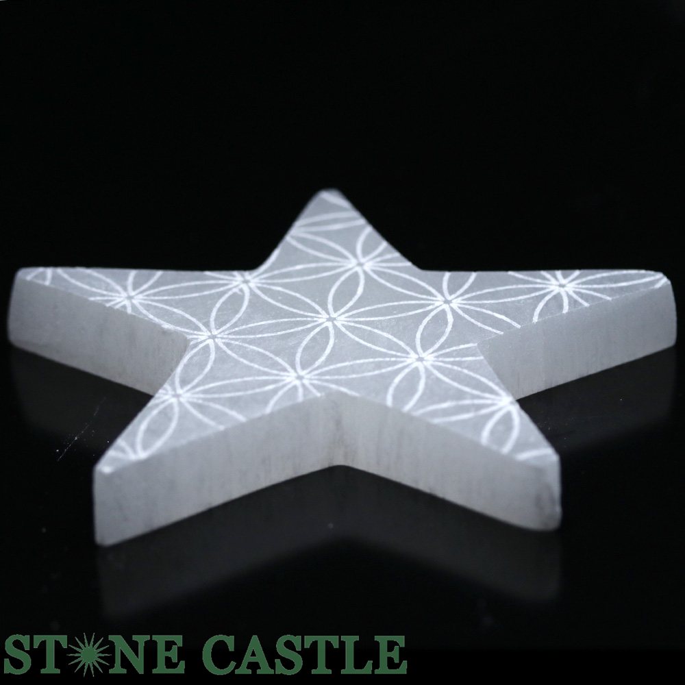 ʼ֤Сۥʥ ʥץ졼  (ե֥饤)