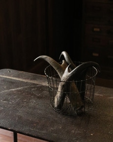 �磻�䡼���å��Х����å�