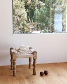 ġ