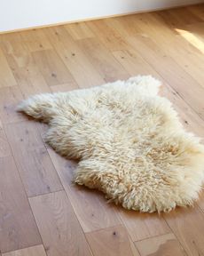 羊ムートン 山羊ムートン A