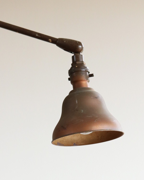 "DAZOR" �ե����ƥ��� ������ ����