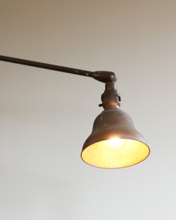 "DAZOR" �ե����ƥ��� ������ ����