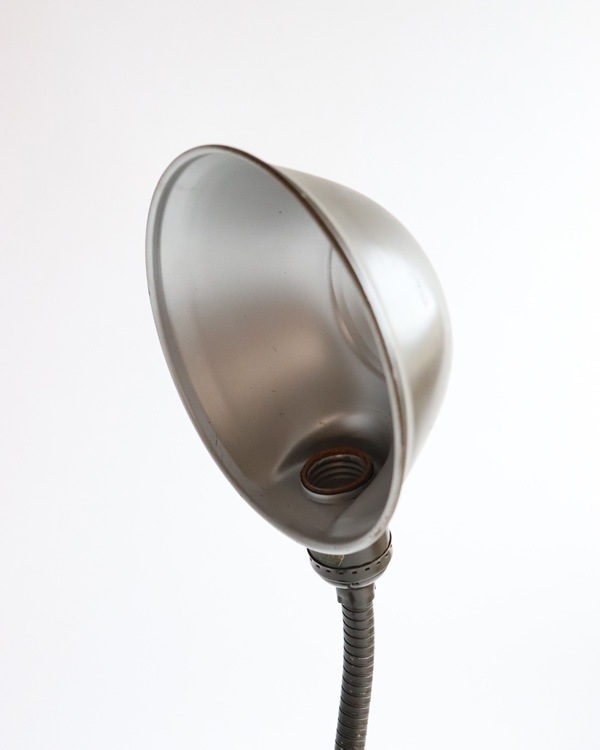 "EAGLE" Desk Lamp