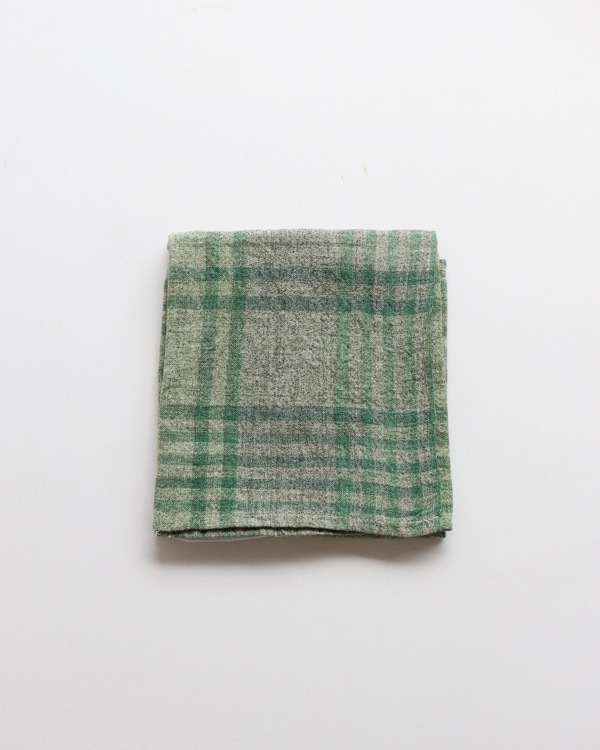 ALDIN(����ǥ���) �ǥ��å��奯���� Green