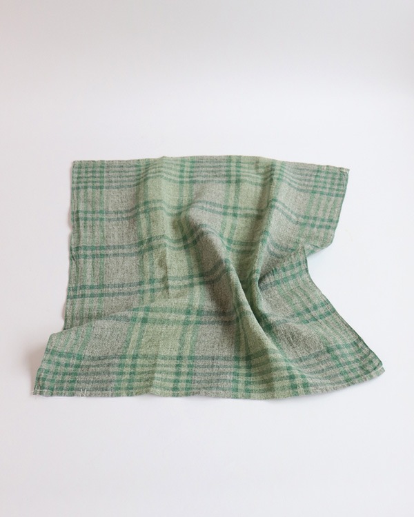 ALDIN(����ǥ���) �ǥ��å��奯���� Green