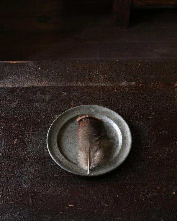 �ԥ塼�����ץ졼�� PD-05