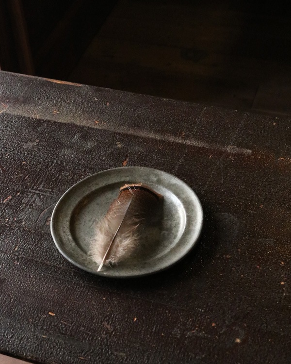 �ԥ塼�����ץ졼�� PD-05