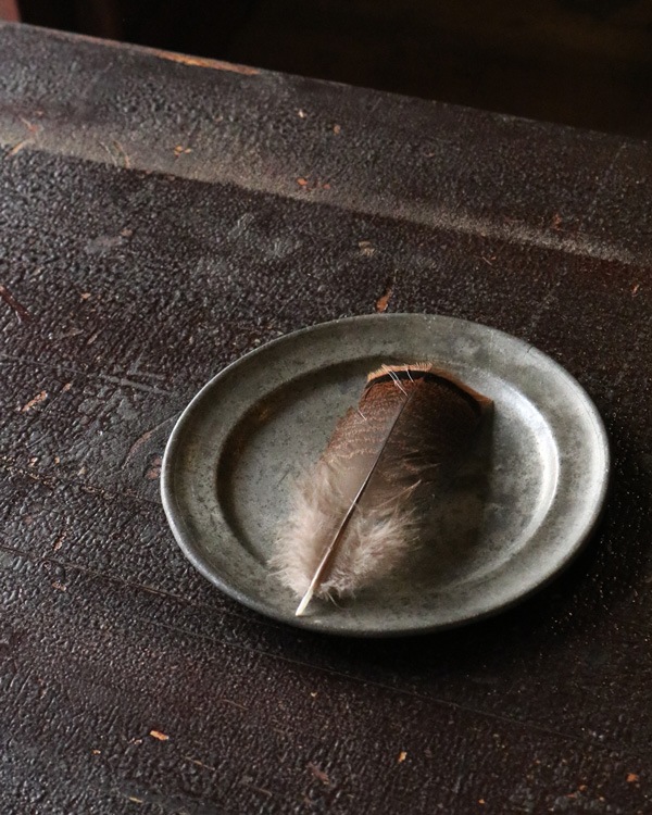 �ԥ塼�����ץ졼�� PD-05