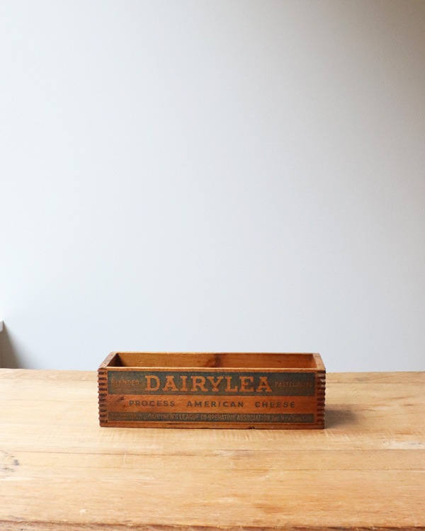 "DAIRYLEA" �֥��ɤΥ������ܥå��� CB-019