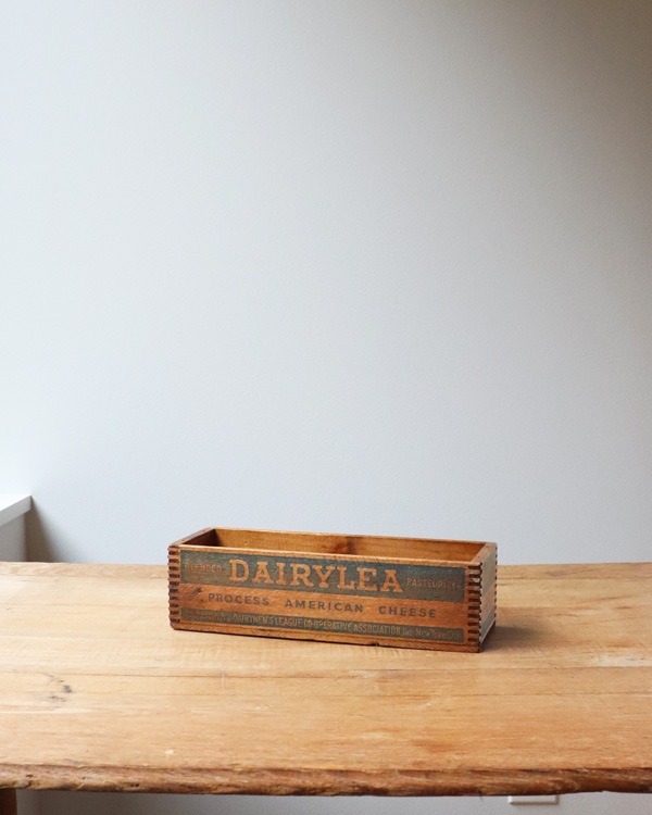 "DAIRYLEA" �֥��ɤΥ������ܥå��� CB-019