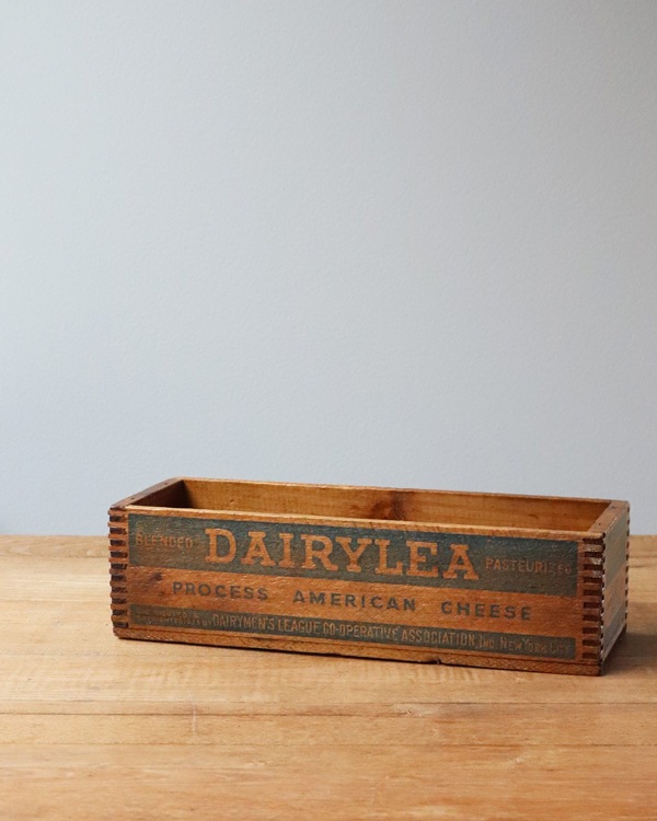 "DAIRYLEA" �֥��ɤΥ������ܥå��� CB-019