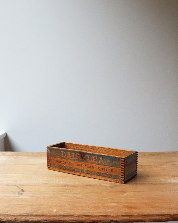 "DAIRYLEA" �֥��ɤΥ������ܥå��� CB-019