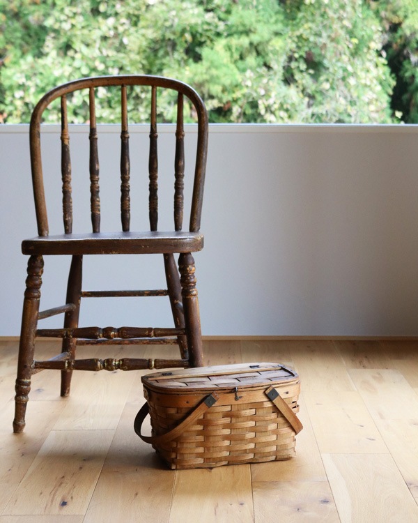 �ԥ��˥å��Х����å� ���⡼��