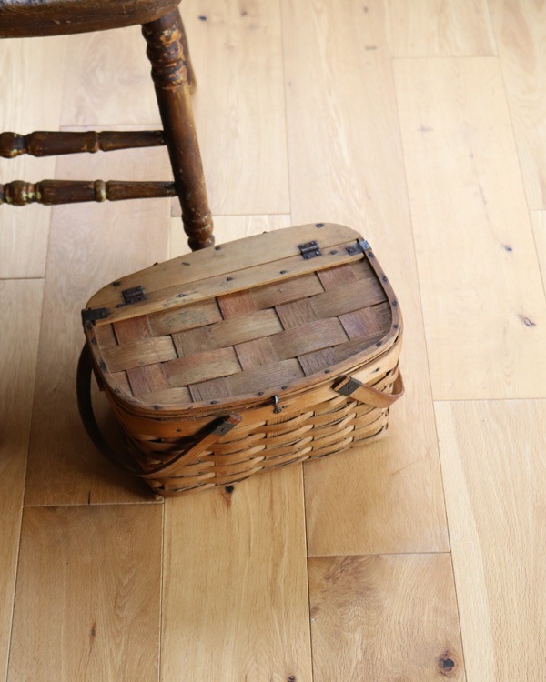 �ԥ��˥å��Х����å� ���⡼��