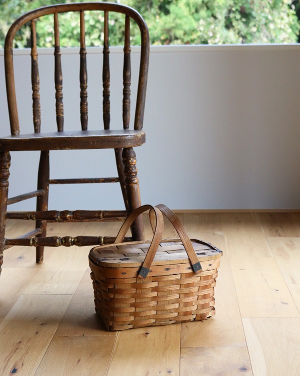 �ԥ��˥å��Х����å� ���⡼��