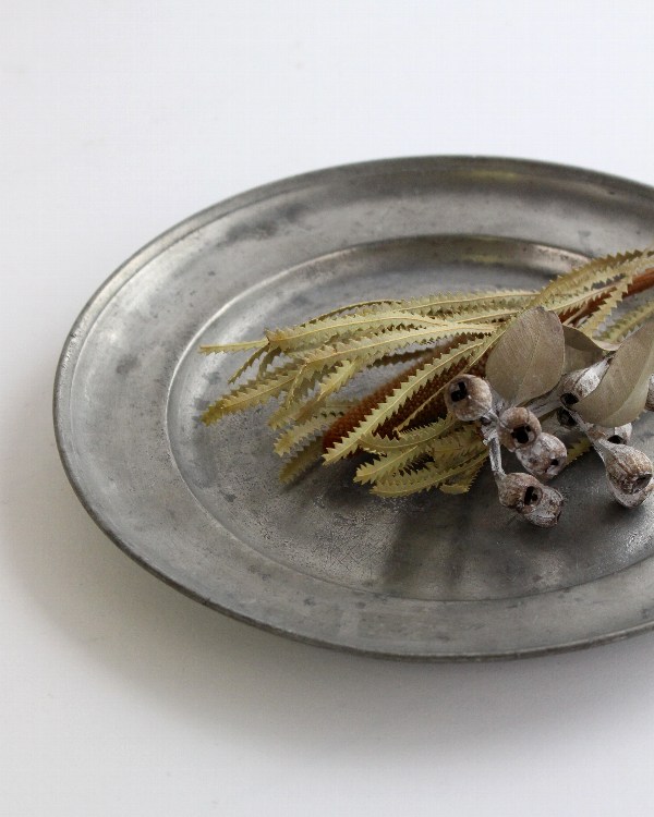 �ԥ塼�����ץ졼�� 1880ǯ���� 27cm