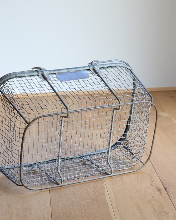 �����å��꡼���ȥ� �磻�䡼�Х����å�