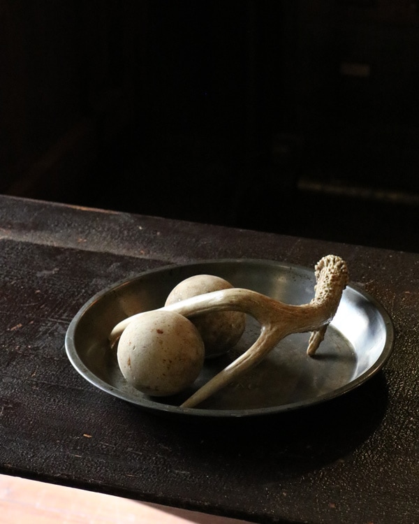 "NYAC" �ѥ��ץ졼��