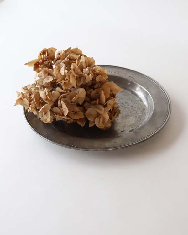 �ԥ塼�����ץ졼�� 1845ǯ���� 28cm